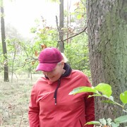  Skarzysko-Kamienna,   , 51 ,   ,   , c 