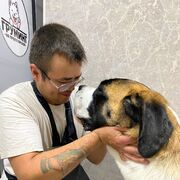 ���������� �����, ������� �����, 28