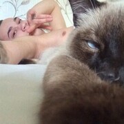 ���������� ������, ���� ������� ������, 31 ���, ������������ ��� ������, ����� � ���������, c�������� ���������, ���������