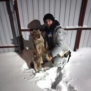 ���������� ����� �����, ���� ������� ������, 35 ���, ������������ ��� ������, ����� � ���������