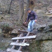  Gibbon,  grisha, 41