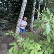  ,   , 57 ,   ,   