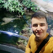  ,   , 34 ,   , 
