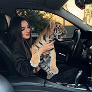 ���������� ������, ���� ������� �����, 23 ����, ������������ ��� ������, ����� � ���������