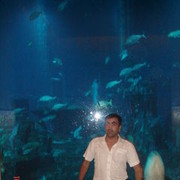 ���������� ����, ���� ������� Samir, 45 ���, ������������ ��� ������, ����� � ���������, c�������� ���������