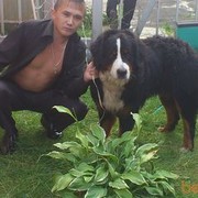 ���������� ������, ���� ������� �������, 42 ����, ������������ ��� ������