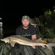 ���������� ���������, ���� ������� ���������, 29 ���, ������������ ��� ����� � ���������, c�������� ���������