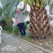  ,   , 58 ,   