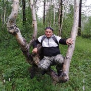 ���������� ������, ���� ������� ����, 43 ����, ������������ ��� ����� � ���������, c�������� ���������