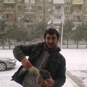 ���������� ����, ���� ������� Marat, 37 ���, ������������ ��� ������, ����� � ���������, c�������� ���������, ���������