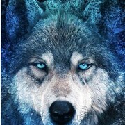 ���������� �����-�����, ������� Abdumannop, 46