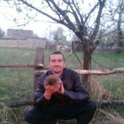 ,   , 36 ,   ,   , 