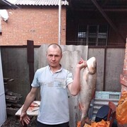 ���������� ������-��-����, ���� ������� ������, 38 ���, ������������ ��� ������, ����� � ���������, c�������� ���������, ���������