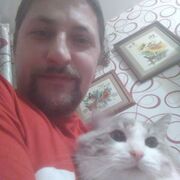  ,   , 41 ,     , c , 