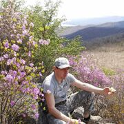 ���������� �����������, ���� ������� ����, 50 ���, ������������ ��� ������, ����� � ���������, c�������� ���������