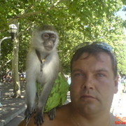  ,   , 53 ,  