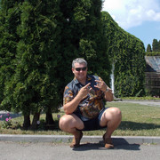 ���������� ����, ���� ������� ������, 36 ���, ������������ ��� ������, ����� � ���������, c�������� ���������