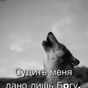  ,  , 35