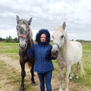 ���������� �����-���������, ���� ������� �����, 40 ���, ������������ ��� ������, ����� � ���������, ���������