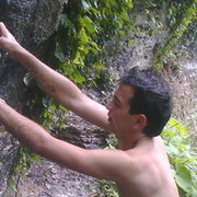 ���������� ������, ���� ������� 995593008582, 36 ���, ������������ ��� ������, ����� � ���������, c�������� ���������, ���������