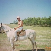  ,   Voinviking, 49 ,   