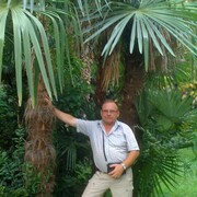 ���������� �����-���������, ���� ������� �������, 68 ���, ������������ ��� c�������� ���������