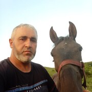  ,   , 48 ,   ,   