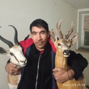 ���������� �����-���������, ���� ������� �����, 44 ����, ������������ ��� ������, ����� � ���������, c�������� ���������, ���������