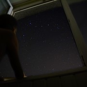 ���������� �����������, ���� ������� ����, 31 ���, ������������ ��� ������, ����� � ���������, c�������� ���������