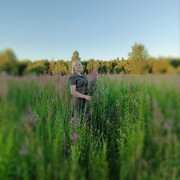 ���������� ������, ���� ������� ����, 41 ���, ������������ ��� ������, ����� � ���������, c�������� ���������