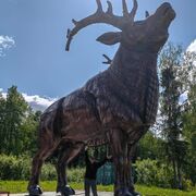 ���������� �����-���������, ���� ������� �������, 60 ���, ������������ ��� ������