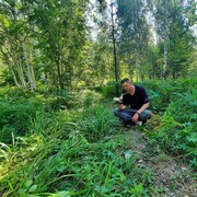 ���������� ���������, ���� ������� ����, 36 ���, ������������ ��� ������, ����� � ���������, c�������� ���������