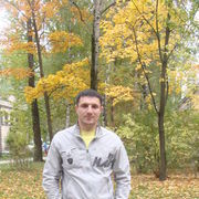  -,   , 43 ,   