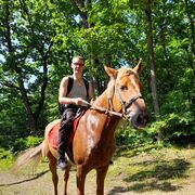 ���������� �����������, ���� ������� �����, 43 ����, ������������ ��� ������, ����� � ���������, c�������� ���������, ���������