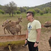 ���������� �������, ���� ������� ���������, 35 ���, ������������ 