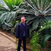  -,  Andrei, 53