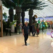  ,   Firuz, 50 ,   ,   , c 
