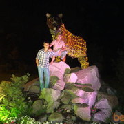 ���������� �����������, ���� ������� �������, 38 ���, ������������ ��� ������, ����� � ���������, c�������� ���������