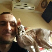  ,   DEN, 43 ,   ,   , c 