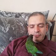  ,   , 49 ,   ,   