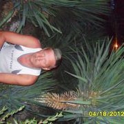  -,   , 66 ,   ,   , c 