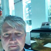  ,   , 51 ,   c , 