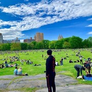 ���������� �������, ���� ������� Mustafa, 37 ���, ������������ ��� ������, ����� � ���������