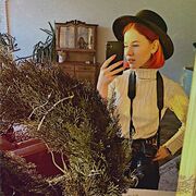 ���������� ���������, ������