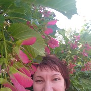 ���������� �����-���������, ���� ������� ��������, 59 ���, ������������ 