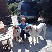  ,   Ilya, 33 ,   ,   