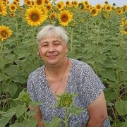 ���������� �����, ���� ������� �������, 54 ����, ������������ ��� c�������� ���������