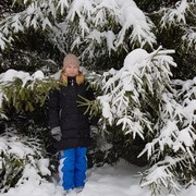 ���������� ������, ���� ������� �����, 40 ���, ������������ ��� ������, ����� � ���������, c�������� ���������