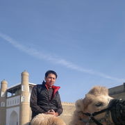  ,   Timur, 44 ,   