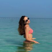 ���������� �����-���������, ���� ������� ���������, 23 ����, ������������ ��� ������, ����� � ���������